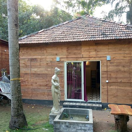 Curlies Zulu Land Hostel อันจูนา ภายนอก รูปภาพ