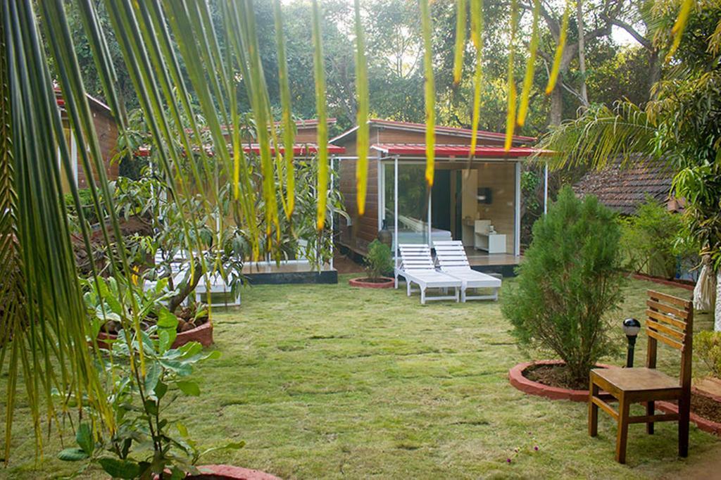 Curlies Zulu Land Hostel อันจูนา ภายนอก รูปภาพ