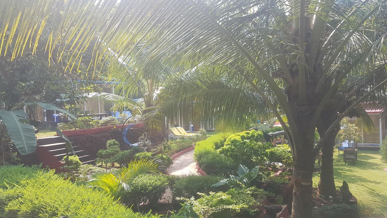 Curlies Zulu Land Hostel อันจูนา ภายนอก รูปภาพ