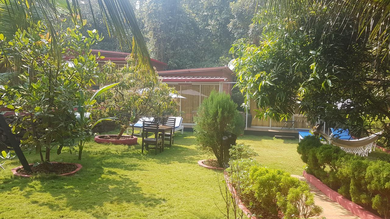 Curlies Zulu Land Hostel อันจูนา ภายนอก รูปภาพ