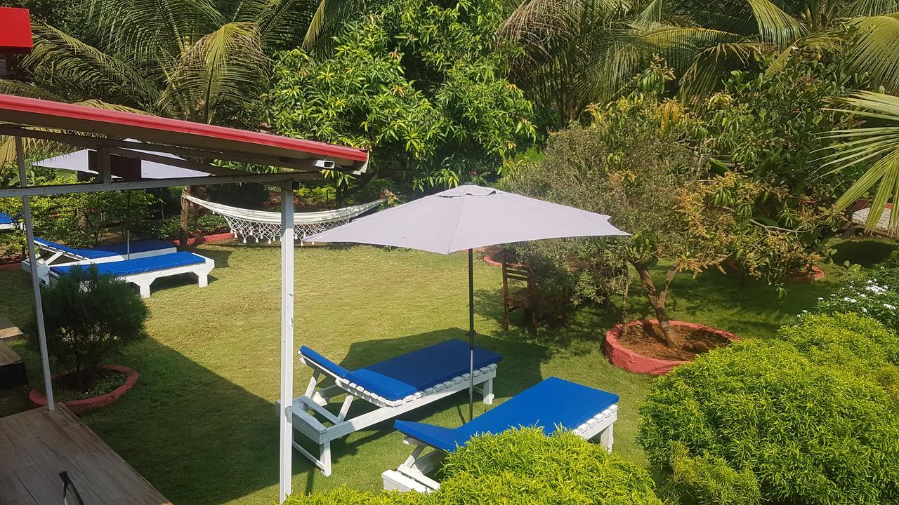 Curlies Zulu Land Hostel อันจูนา ภายนอก รูปภาพ