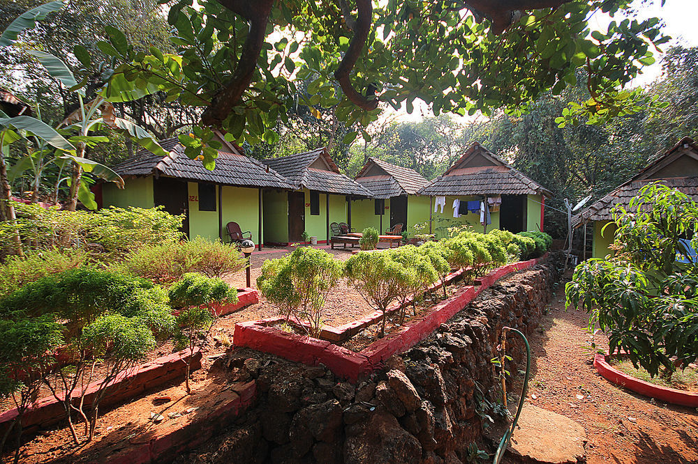 Curlies Zulu Land Hostel อันจูนา ภายนอก รูปภาพ