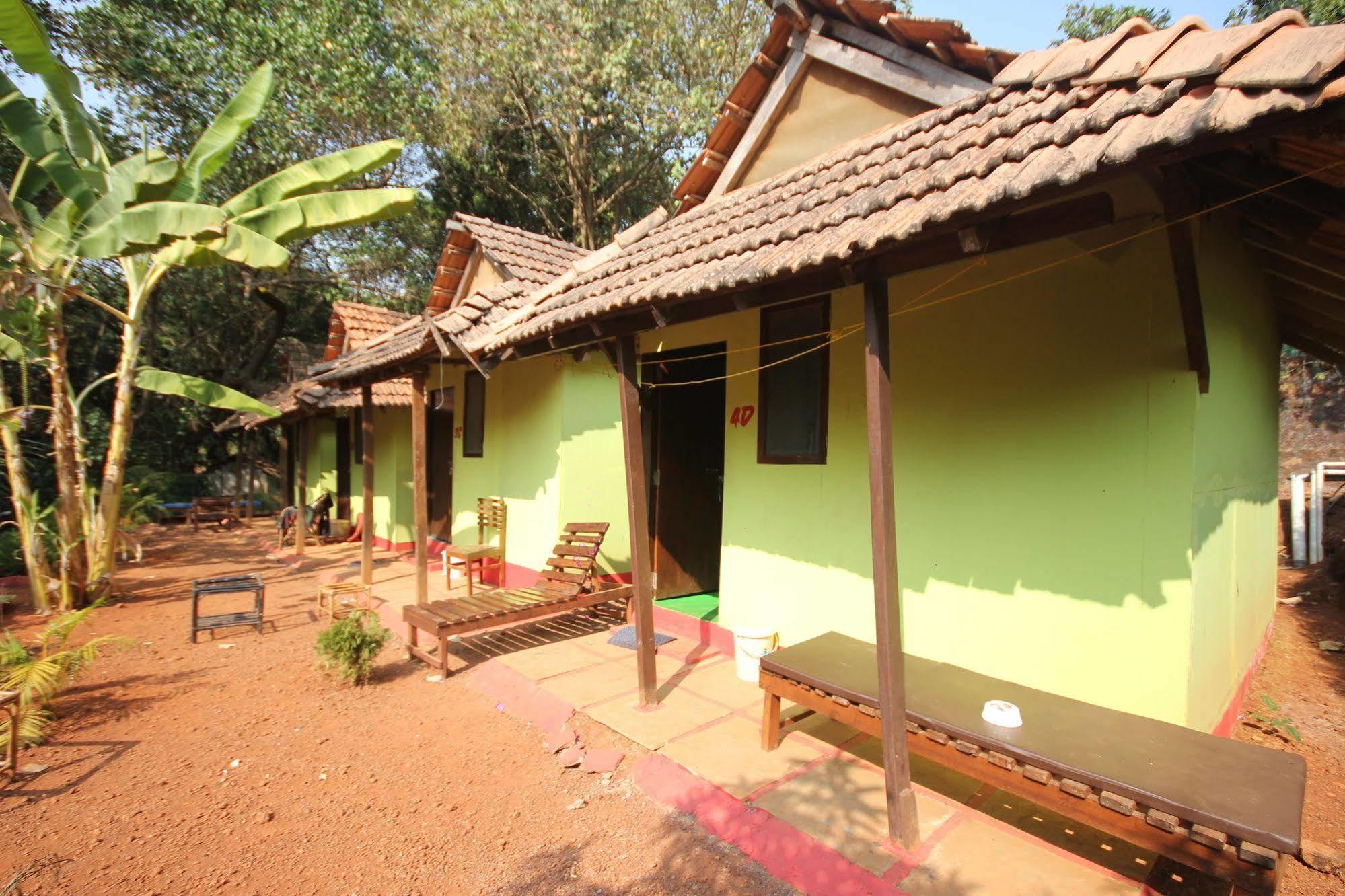 Curlies Zulu Land Hostel อันจูนา ภายนอก รูปภาพ