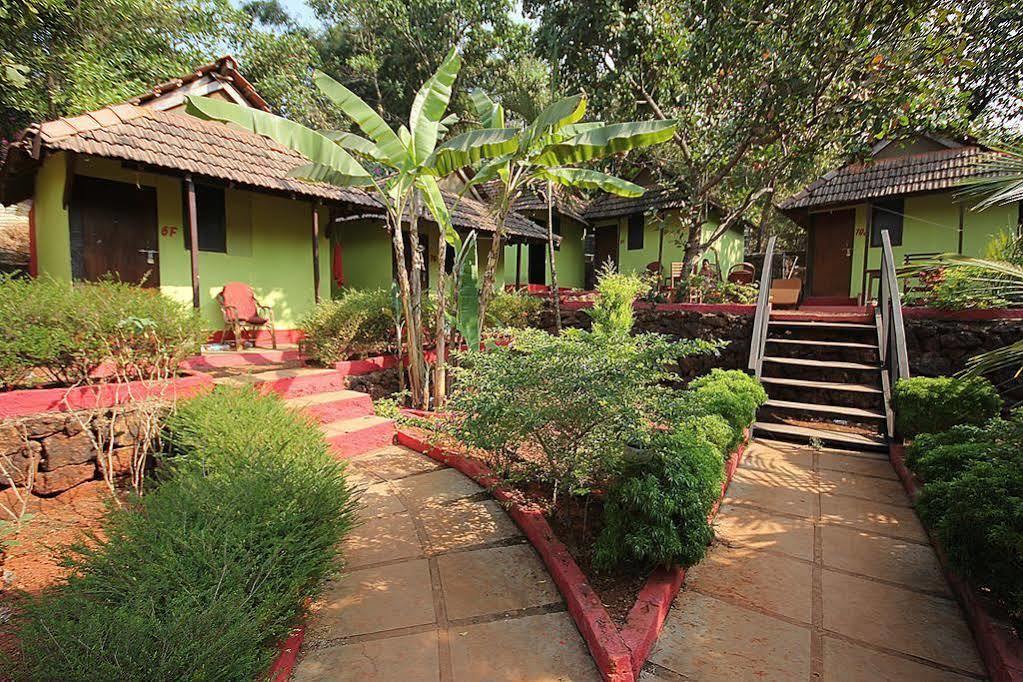 Curlies Zulu Land Hostel อันจูนา ภายนอก รูปภาพ